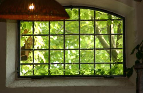 Agriturismo La Lupa - Photo 49