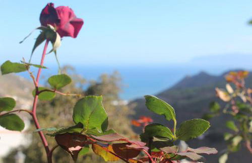 Casa La Bodega - Foto 34