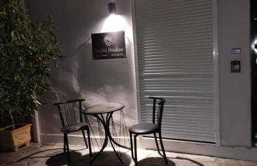 ISMINI STUDIOS - Foto 16