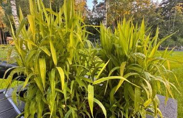 GrandBytyń House - Foto 58