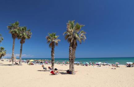 Apartamento Emperador, Pinada Beach, La Mata, Torrevieja - Foto 42