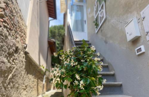 La Petite Maison - Foto 32