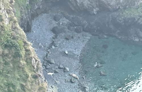 Trefechan Wen Barn - Photo 43