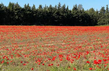 La RENAUDIERE - Photo 31