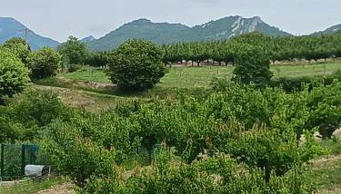 Gîte les trois abeilles - Foto 5