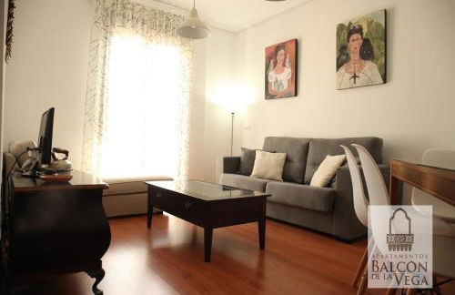 Apartamentos Balcón de la Vega - Foto 10