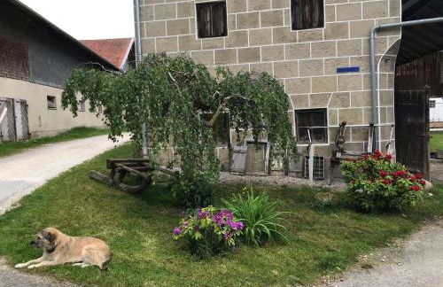 Beim Hofbauer - Foto 16