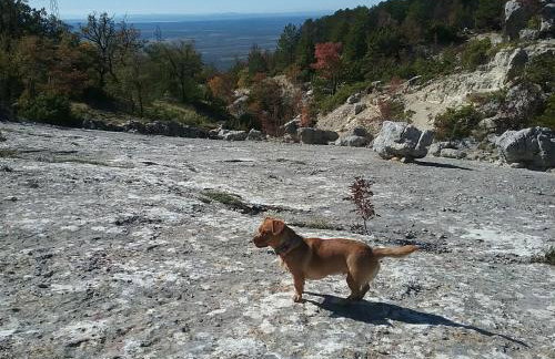 Charlie Apartments - Foto 12