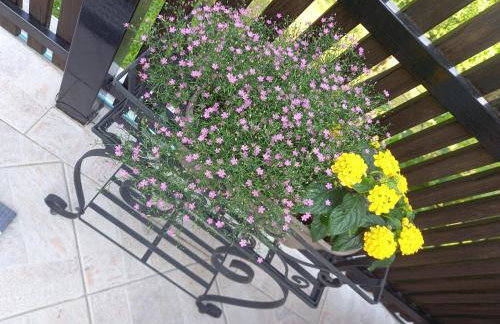 Kuća Za Odmor Barbara - Photo 12