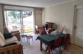 T2 clim piscine tout équipé au calme - Foto 22