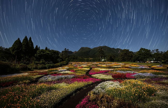 kujuhanakoen campingresort hanatohoshi - Foto 9