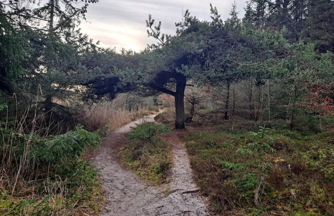 Spacious Family Retreat - By Traum Ferienwohnungen - Foto 6