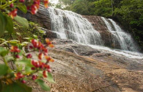 Flat Natureza Hotel Fazenda Pedra do Rodeadouro Bonito PE - Photo 33