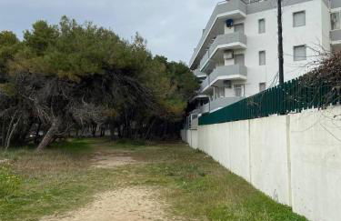 La Fenice sulla spiaggia - Foto 28