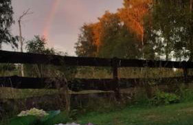 Poggenhagen Urlaub mitten in der Natur - Foto 15
