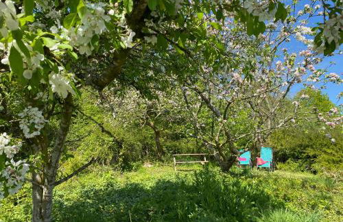 The Fabulous flower hut - Photo 19