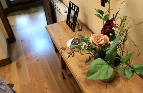 Apartamentos Solsalient - Foto 59