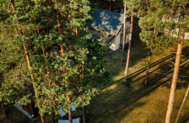 Kajaki wino i śpiew - domek z sauną w otoczeniu lasów i sąsiedztwie zalewu - Foto 28