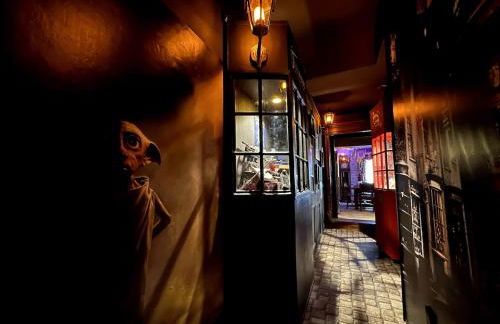 LA CHAMBRE DES SECRETS, Magique, Hyper-centre, 9 Couchages - Foto 19