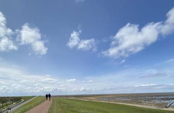 Appartement 1 mit Küche und neuem Bad, frisch saniert - Foto 28