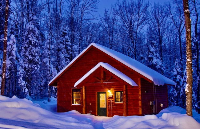 Robert Frost Mountain Cabins - Foto 23