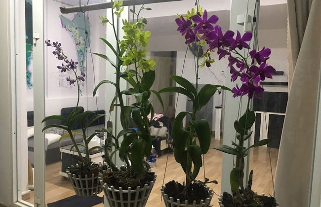 Dao Ngoc VT1 - Foto 13