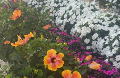 The Getaway - Foto 47