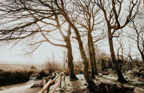 Higher Trewithen - Photo 7