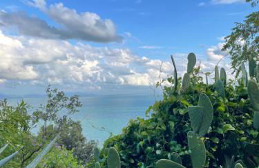 Villa Vecchia Fontana al mare - Tra Liguria e Toscana tra Viaregggio, Forte dei Marmi e Cinque Terre- Haus am Meer bei la Spezia - Foto 80