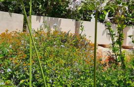 TRULLI GIACI&MAURI - Foto 14