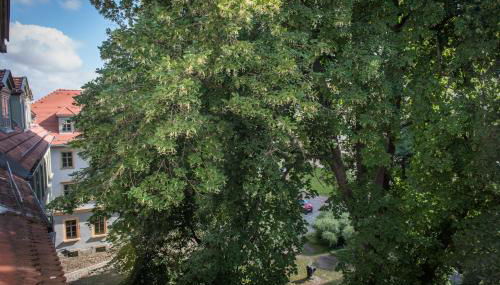 "goethezimmer" Ferienwohnung und Zimmer am Burgplatz - Foto 4
