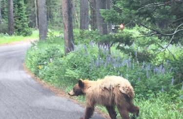 Abode at the Homestead - Foto 60