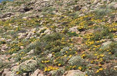 Your Vintage Townhouse - Foto 27