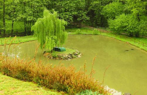 Agriturismo Grammelot - Foto 20