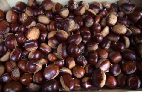 Agriturismo L'Eco - Foto 9