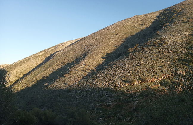 Villa Mirabello Suites - Foto 21