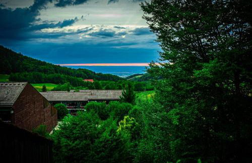 Natur tanken im Schwarzwald - Foto 24
