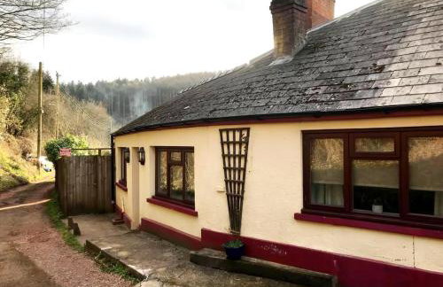 Walker's Rest - Photo 9