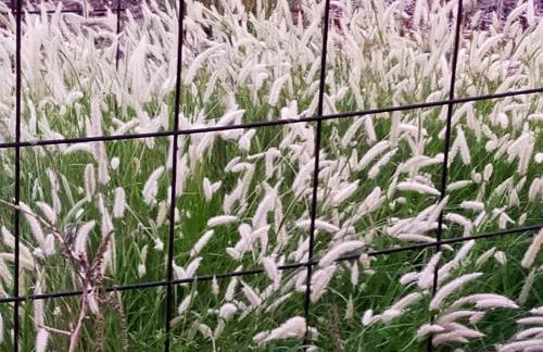 Casa Omaira y Nacho - Foto 20