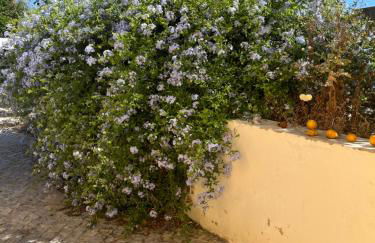 Quinta da Layla - Photo 48