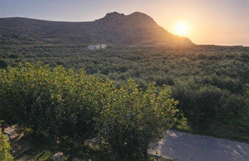 Oasis Apartments & Rooms - Foto 41