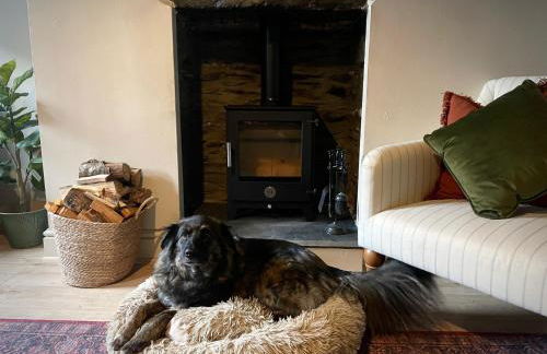 Poets Cottage Eglwys Fach - Foto 26