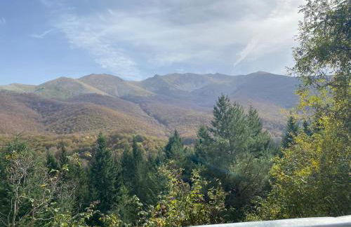 La casa nel bosco-Val Granara guesthouse - Foto 21