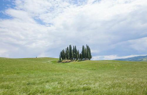 Agriturismo La Poderina - Foto 25