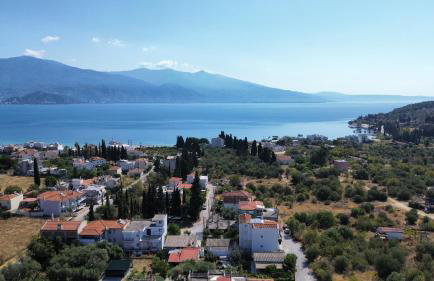 The Sunny House - Photo 30