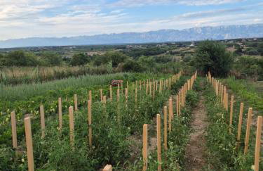 Rocca Verde - Foto 41