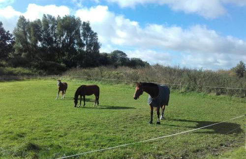 Reiterhof Groß Stubben - Foto 26