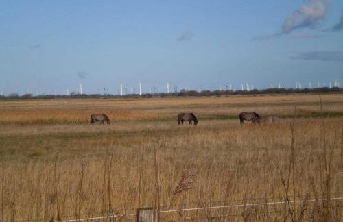 Pippert Comfortable holiday residence - Foto 24