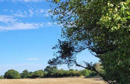 Entire 2 bed coach house in peaceful Norfolk village - Foto 29