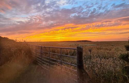 The Pepper pot - Photo 9